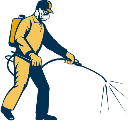 Pest Control. Pest Control Company Cartagena