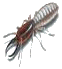Pest Control. Pest Control Cartagena. Pest. Pests. Pest Control Cartagena. Bugs and Pest Control Cartagena. Pest Kill Spain